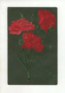 Cartolina antica - Rose - Sterling Illinois - Foto 1 di 2