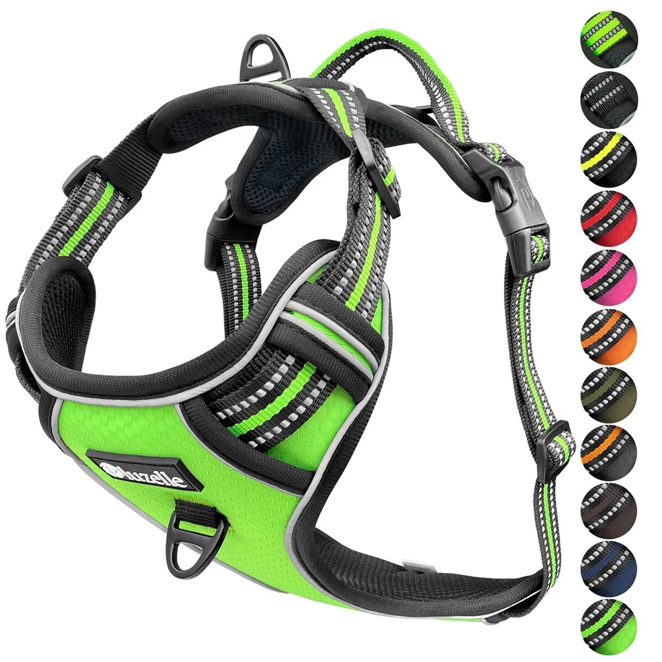 BLUZELLE Hundegeschirr Kleine Hunde, Anti-Zug Brustgeschirr mit Tasche Reflektierend, S