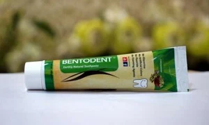 BENTODENT TOOTHPASTE Flouride-free Natural Toothpaste, 100 gm - Picture 1 of 30