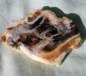 ESPECIMEN PULIDO JASPE AGATIZADO INTRUSIONES DE VENAS DE ÁGATA 2 PIEZAS 1.4-1.5  - Imagen 1 de 7