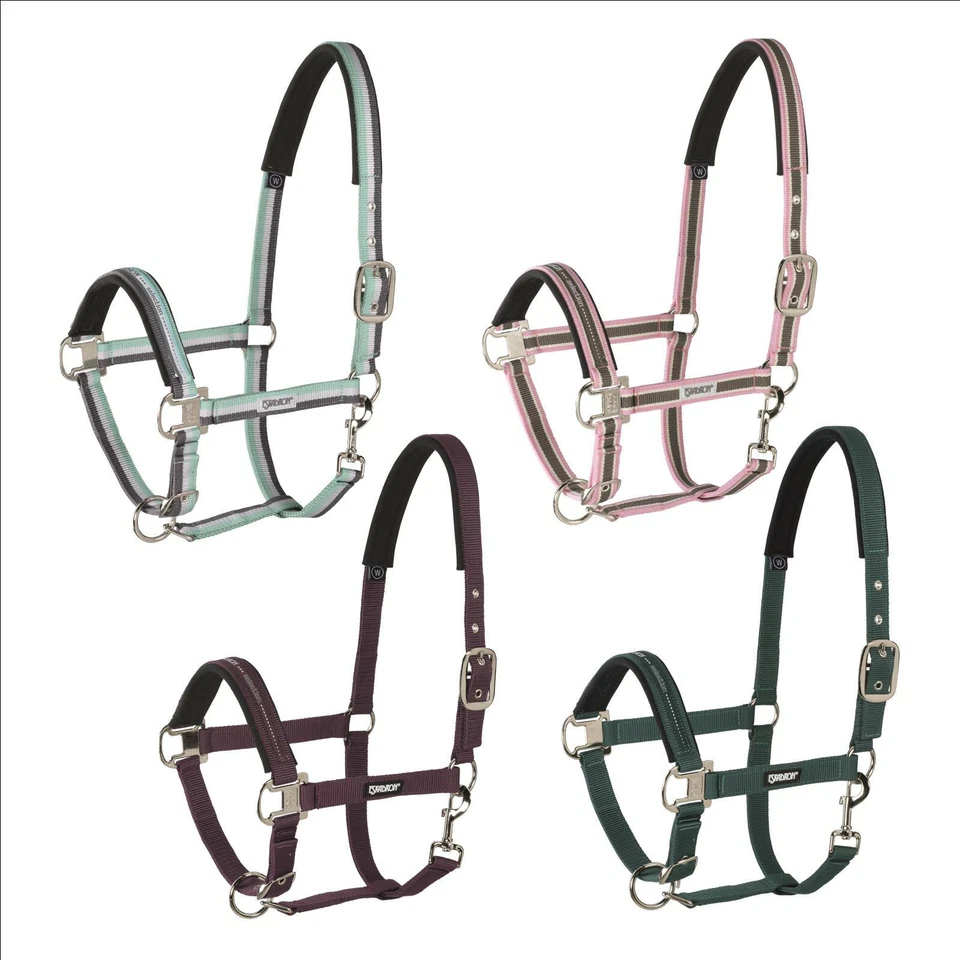 Halfter DORNSCHNALLE Eskadron Basic Blackberry VB