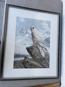 Signed framed numbered lithograph of falcon alan m hunt 266/975 no coa 21.5 x 27 - Picture 1 of 7