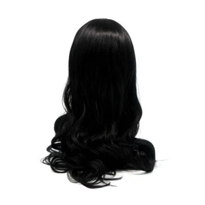 24inch Black Wig Long Curly Hair Women Front Lace Silk Natural Wigs Dress Up - Picture 1 of 7