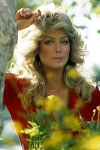 Farrah Fawcett 24x36 gerolltes Poster - Bild 1 von 1