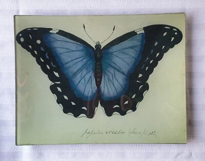 Винтажный John Derian декупаж лоток бабочка, подписанный - новый в оригинальной коробке - Изображение 1 из 3