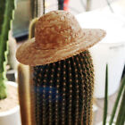  8 Pcs Hand?woven Grass Cap Miniature Hat Dollhouse Straw Hats