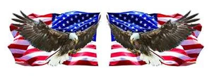 Eagle Clean American Flag pairs Decal - Picture 1 of 8