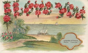 Language of Flowers Astors I Love You Flower Floral Postcard - Picture 1 of 2