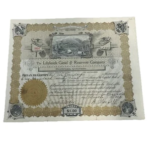 1916 The Lilylands Canal & Reservoir Certificato di Stock #364 Montrose, CO 125 Shr - Foto 1 di 9