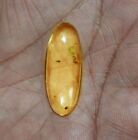 7.50 Cts. Natural Genuine Old Baltic Amber Untreated Certified Gemstone