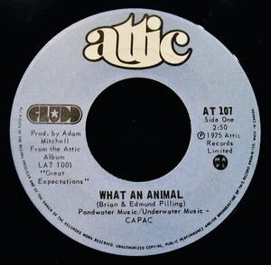 FLUDD: What An Animal & Boarding School~Near Mint Rock 45~ATTIC #AT 107 - Imagen 1 de 2