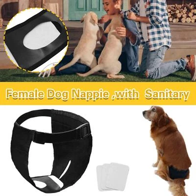 Hygienehosen Für Haustiere Physiologische Hosen Hundeshorts Höschen Mit 3  > - Bild 1 von 4