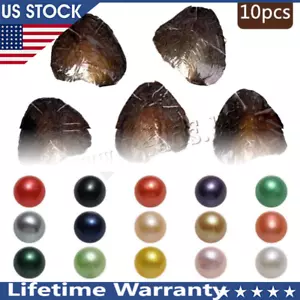10x Bulk Natural Freshwater Akoya Pearl Oysters Real Pearl Bulk w/ Large Pearls - Picture 1 of 8