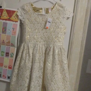 NWT Girl's Lace Dress - Picture 1 of 6