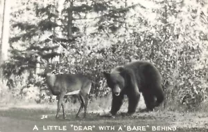 Postcard RPPC Bear Dear Forest Woods Animals Funny Novelty Whimsical Antlers - Picture 1 of 2