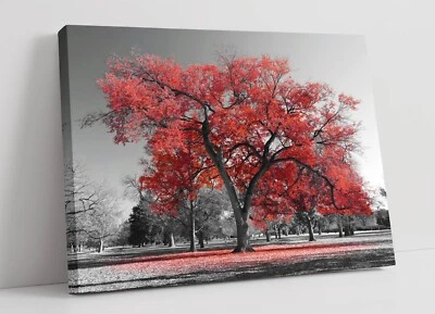 RED TREE BLACK & WHITE BACKGROUND -FRAMED CANVAS WALL ART PICTURE PRINT - Image 1 of 2