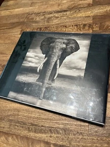 Nick Brandt A Shadow Falls - Bild 1 von 17