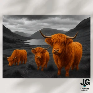 Highland Cow Picture Wall Art Poster Print Scotland A5 A4 A3 A2 A1 - Picture 1 of 3