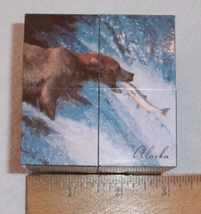 CUBO DE FOTOS PLEGABLE ALASKA INFINITY - OSOS, NUTRIA, MORSA, ÁGUILA CALVA, FRAILE + - Imagen 1 de 4