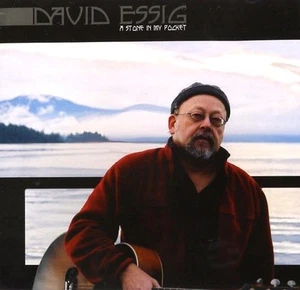 DAVID ESSIG A STONE IN MY POCKET RARE 2/CD SET 30 SONGS FROM 1968-2003 - Bild 1 von 2