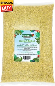 Organic Hulled Millet Bird Seed - Bird Food for Canary, Finches, Small Wild Bird - Picture 1 of 4