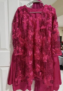Pakistani Indian Wedding Party Net Dress - Picture 1 of 6