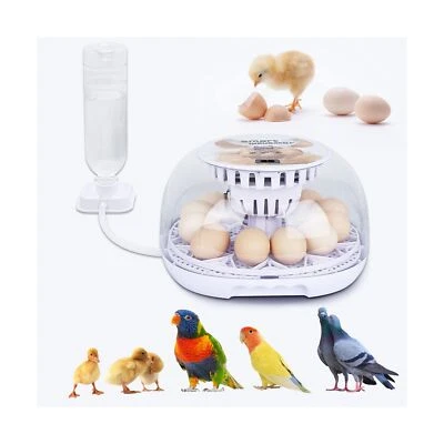 NORJIN Egg Incubator, 12 Eggs Incubator for Hatching Eggs, Digital Incubator ...
