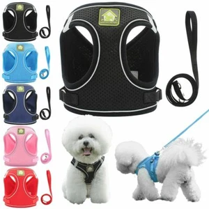Mesh Padded Soft Puppy Pet Dog Harness Breathable Comfortable 5 Colors 5 Sizes - Picture 1 of 17