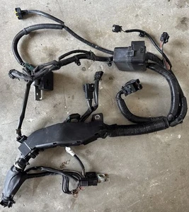 ✅ 16-24 INFINITI Q50 RIGHT PLUG HEADLIGHT WIRING HARNESS WITH 360 Camera Option - Picture 1 of 1