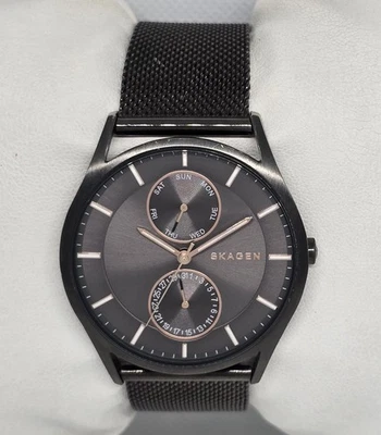 男式 Skagen Holst Day Date 灰色表盘钢网眼表带手表 SKW6180 13 — 第 1/4 张图片