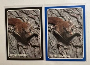 2024 Heritage Jeff McNeil/Flying Squirrel Zoos Who Black & Blue (2 Card Lot) - Picture 1 of 2