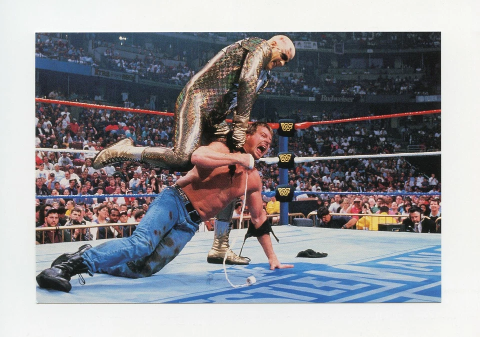 #TN07605 GOLDUST VS. ROWDY RODDY PIPER 1999 WWF Card - Image 1 of 1