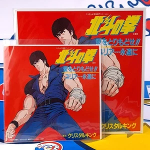 Hokuto no Ken +Bonus EP Vinyle Record NEW Japan Original Soundtrack OST TV Anime - Imagen 1 de 7