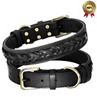 Brown Braided Leather Lightweight Dog Collar With Metal Buckle