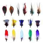 16 Pcs Hat Feathers for Fedora Assorted Hat Feathers Party Accessories
