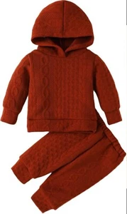 New Baby Girl Clothes Outfits Infant Long Sleeve Hoodie Sweatshirt Tops Pants Ba - Picture 1 of 6