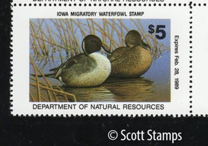 IA17 1988 Iowa Duck Stamp - MNH - Pintails - Artist: Mark Cary - Picture 1 of 1