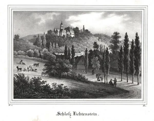 Lichtenstein Schlossanlage. Lithographie aus Saxonia um 1840 - Bild 1 von 1
