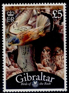 GIBRALTAR 2008-12 Birds MNH singles. SG1248-1260. CHOOSE FROM LIST - Picture 1 of 34