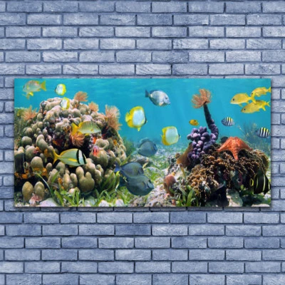 Wandbilder Glasbilder Druck auf Glas 140x70 Korallenriff Natur - Bild 1 von 4