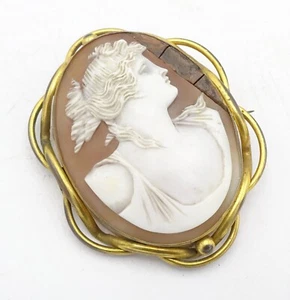 Antiguo broche camafeo victoriano grande concha REPARADO - Imagen 1 de 2