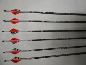 6- Easton FMJ Full Metal Jacket 4mm 300 Arrows! Custom Dip/Crested/Blazer Vanes - Picture 1 of 2