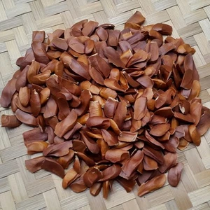 Sky Fruit Mahogany Seeds Swietenia Macrophylla 700 Gram - Picture 1 of 4