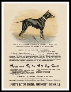 ENGLISH TOY TERRIER BLACK & TAN VINTAGE STYLE DOG DOG FOOD ADVERT PRINT POSTER - Picture 1 of 1