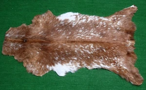 Neu Ziegenfell Teppich Haar auf Fläche Teppich Größe 34"x20" Tierleder Ziegenfell G-413 - Bild 1 von 3