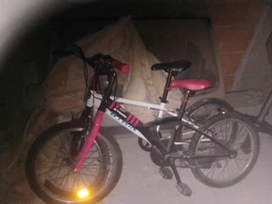 bicicletta - Foto 1 di 1