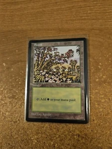 MAGIC THE COLLECTING MIRAGE FOREST (D) LIGERAMENTE JUGADO - Imagen 1 de 2