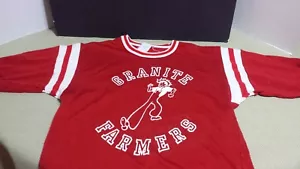 Camiseta deportiva vintage de granito de la escuela secundaria de los años 70 pequeña~en SLC demolida - Imagen 1 de 6