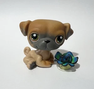 Littlest Pet Shop #2 Mops Hund - Bild 1 von 3