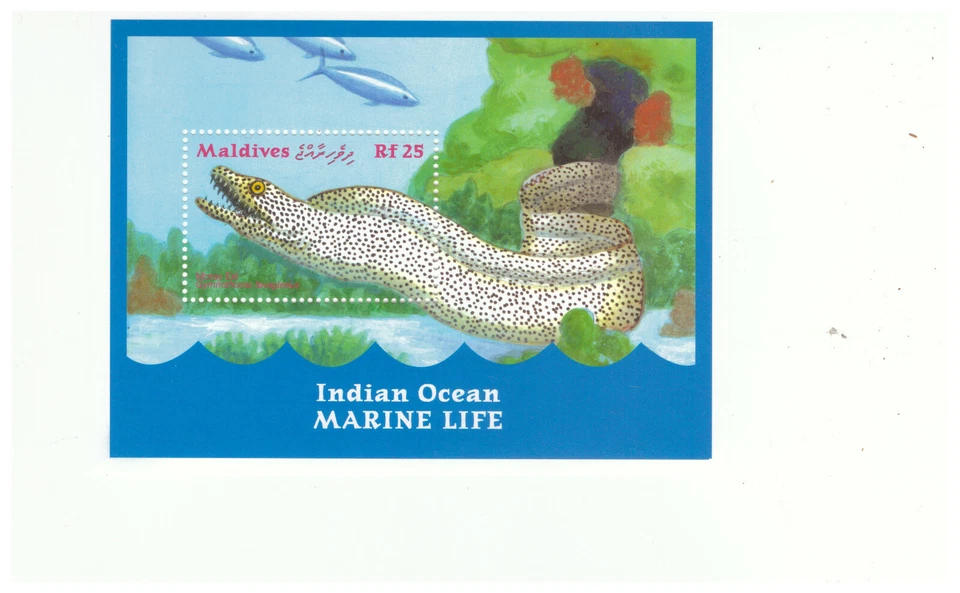 MALDIVES SC.2488 MORAY EEL S/S MNH YE11 - Image 1 of 1